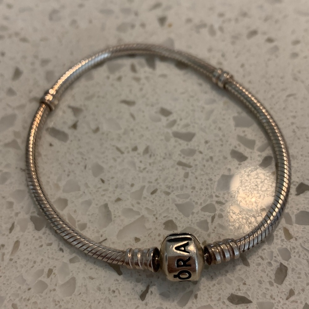 Pandora Moments Snake Chain